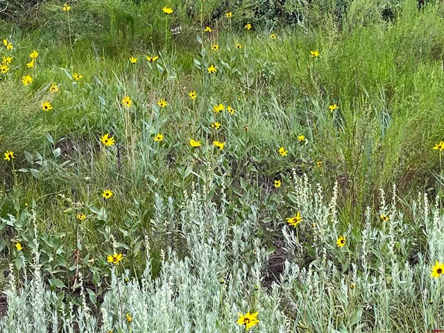 $170,000 | 1084 Crowley Drive, Chromo, CO 81128