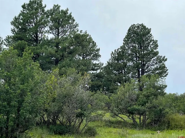 $170,000 | 1084 Crowley Drive, Chromo, CO 81128