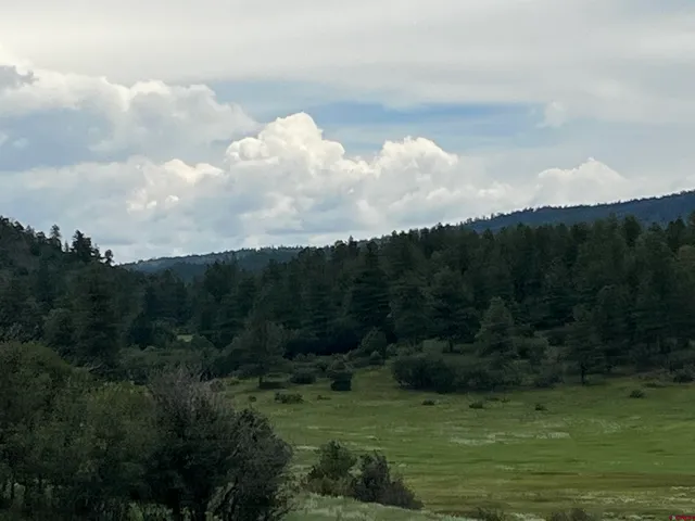 $170,000 | 1084 Crowley Drive, Chromo, CO 81128