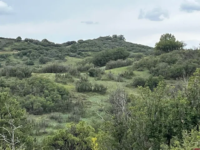 $170,000 | 1084 Crowley Drive, Chromo, CO 81128