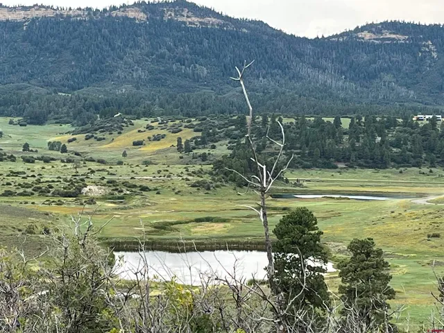 $170,000 | 1084 Crowley Drive, Chromo, CO 81128