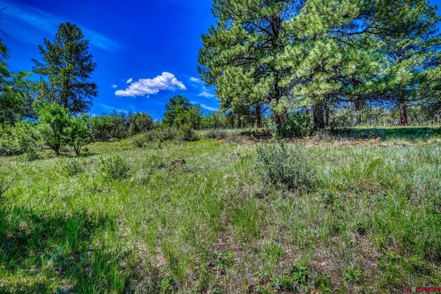 $170,000 | 1084 Crowley Drive, Chromo, CO 81128