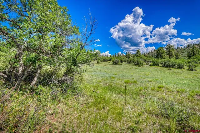 $170,000 | 1084 Crowley Drive, Chromo, CO 81128