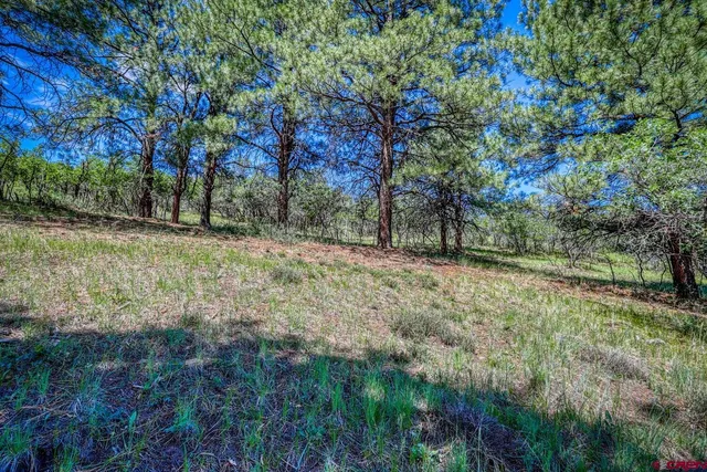 $170,000 | 1084 Crowley Drive, Chromo, CO 81128