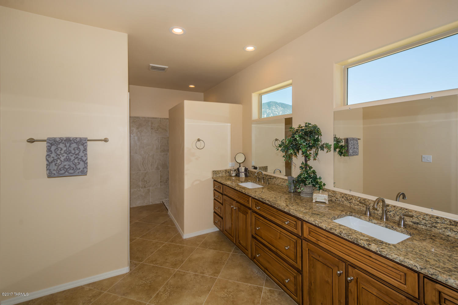 14780 North Swan Road Tucson, AZ 85739 - Photo 3 of 32