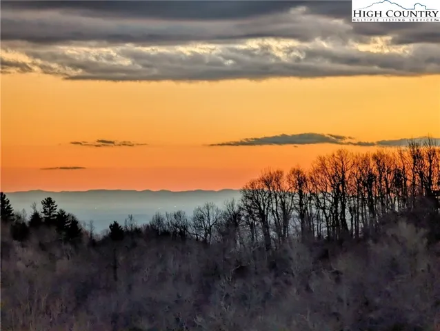 a sign of golf club on a tree
