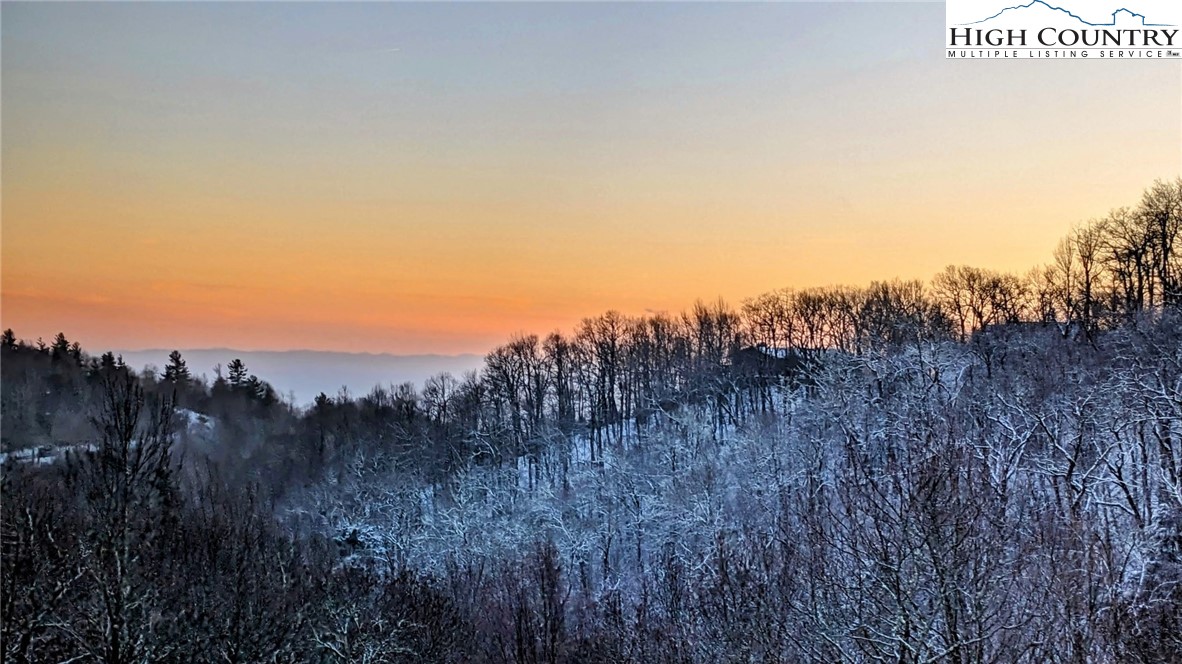 Lot 61 Boone Coffey Trail Boone, NC 28607 - Photo 12 of 22 a view of a dry space with trees in the background