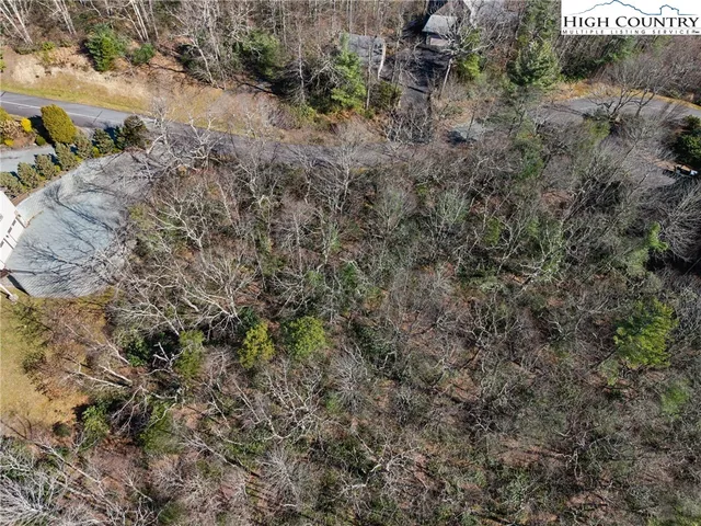 a view of a street with a trees