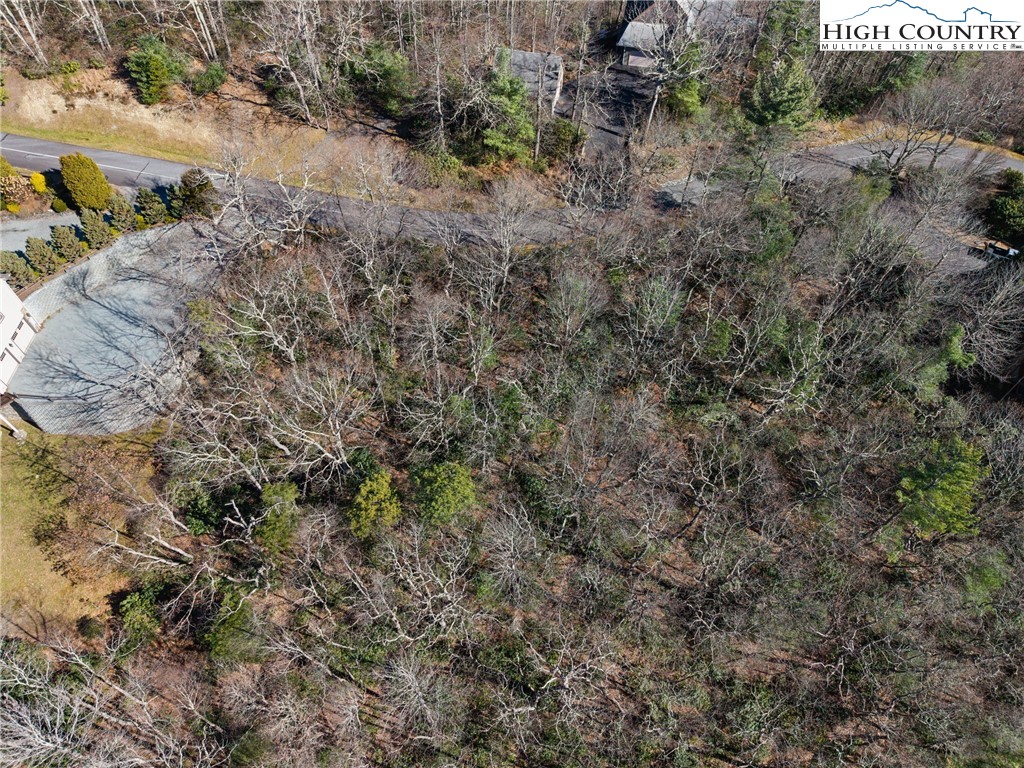 Lot 61 Boone Coffey Trail Boone, NC 28607 - Photo 13 of 22 a view of a yard with a tree