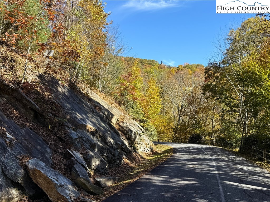 Lot 61 Boone Coffey Trail Boone, NC 28607 - Photo 17 of 22 a view of a yard with mountain view