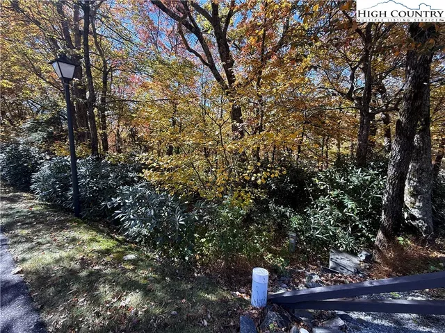 a view of a tree with a tree