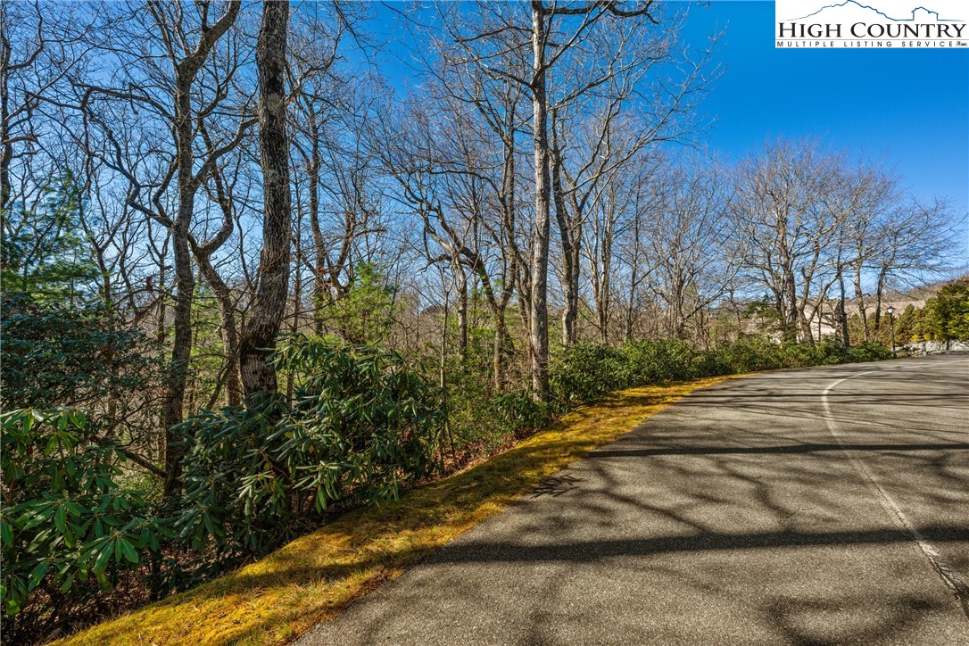 Lot 61 Boone Coffey Trail Boone, NC 28607 - Photo 5 of 22 a view of path and trees