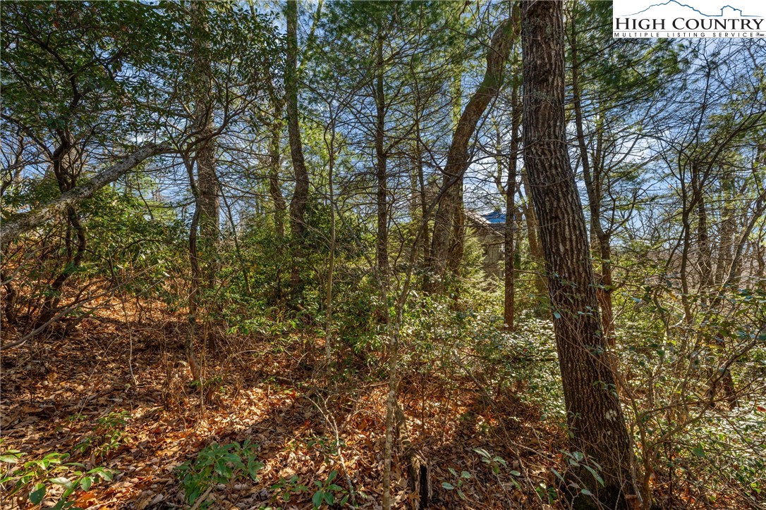 Lot 61 Boone Coffey Trail Boone, NC 28607 - Photo 6 of 22