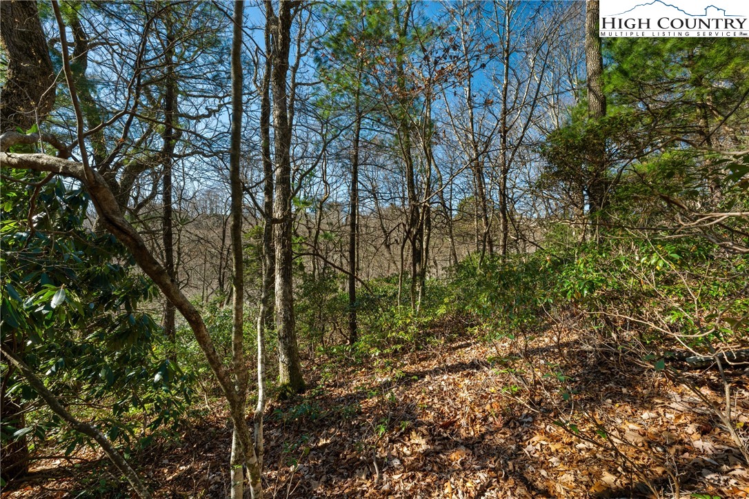Lot 61 Boone Coffey Trail Boone, NC 28607 - Photo 7 of 22
