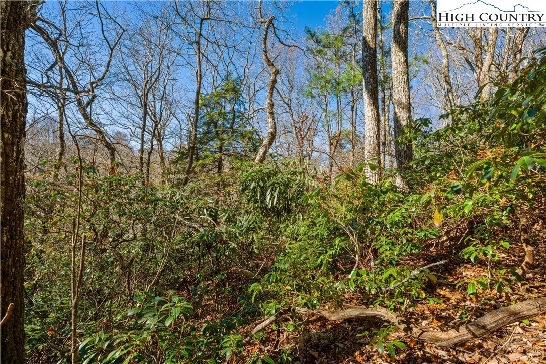 Lot 61 Boone Coffey Trail Boone, NC 28607 - Photo 10 of 22 a backyard of a house with lots of green space