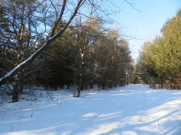 $67,500 | Lot 2 East Lincoln Avenue, Amery, WI 54001