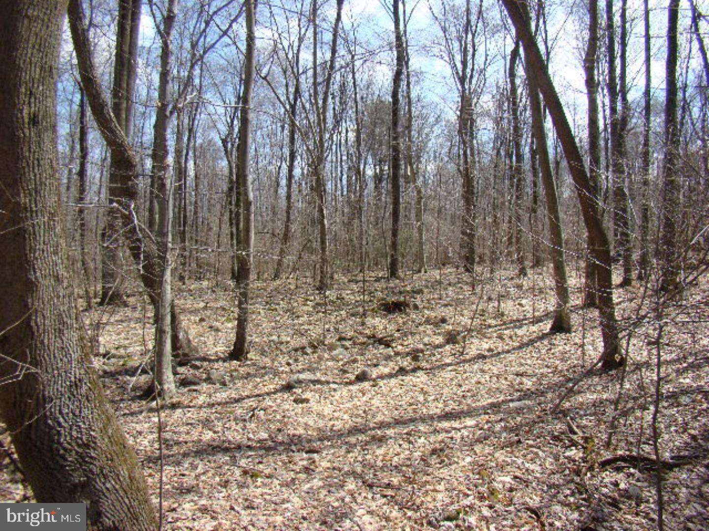 2 Swopes Valley Road Pine Grove, PA 17963 - Photo 11 of 13 Gallery Image 11