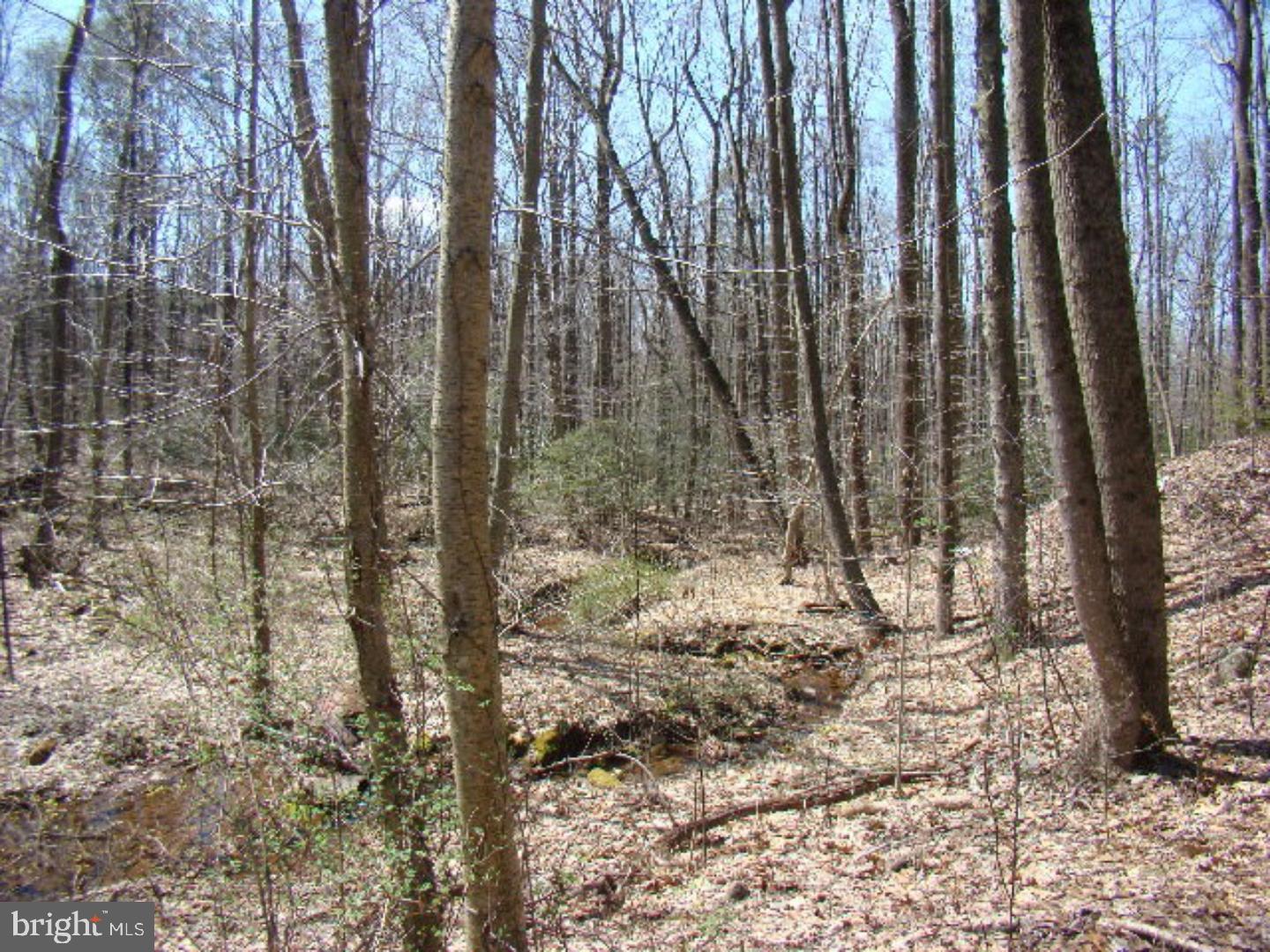 2 Swopes Valley Road Pine Grove, PA 17963 - Photo 12 of 13 Gallery Image 12