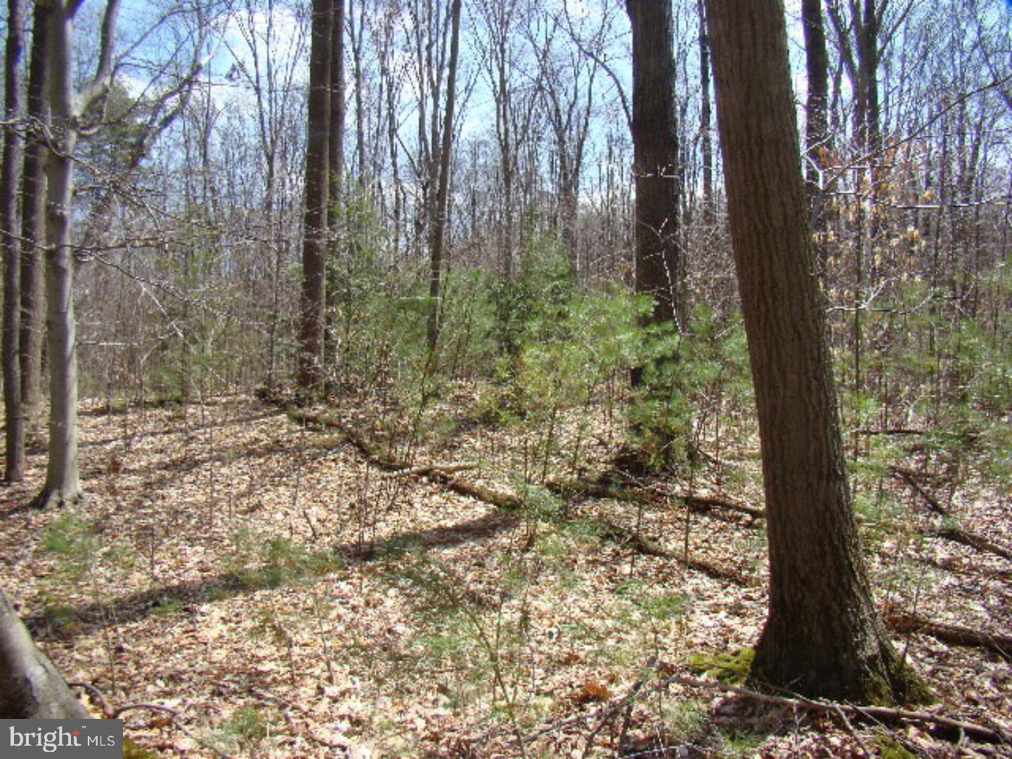 2 Swopes Valley Road Pine Grove, PA 17963 - Photo 8 of 13 Gallery Image 8