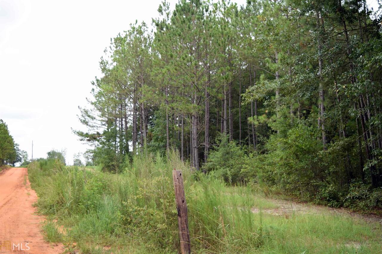 0 Harold Sikes Road Claxton, GA 30417 - Photo 1 of 1 Gallery Image 1
