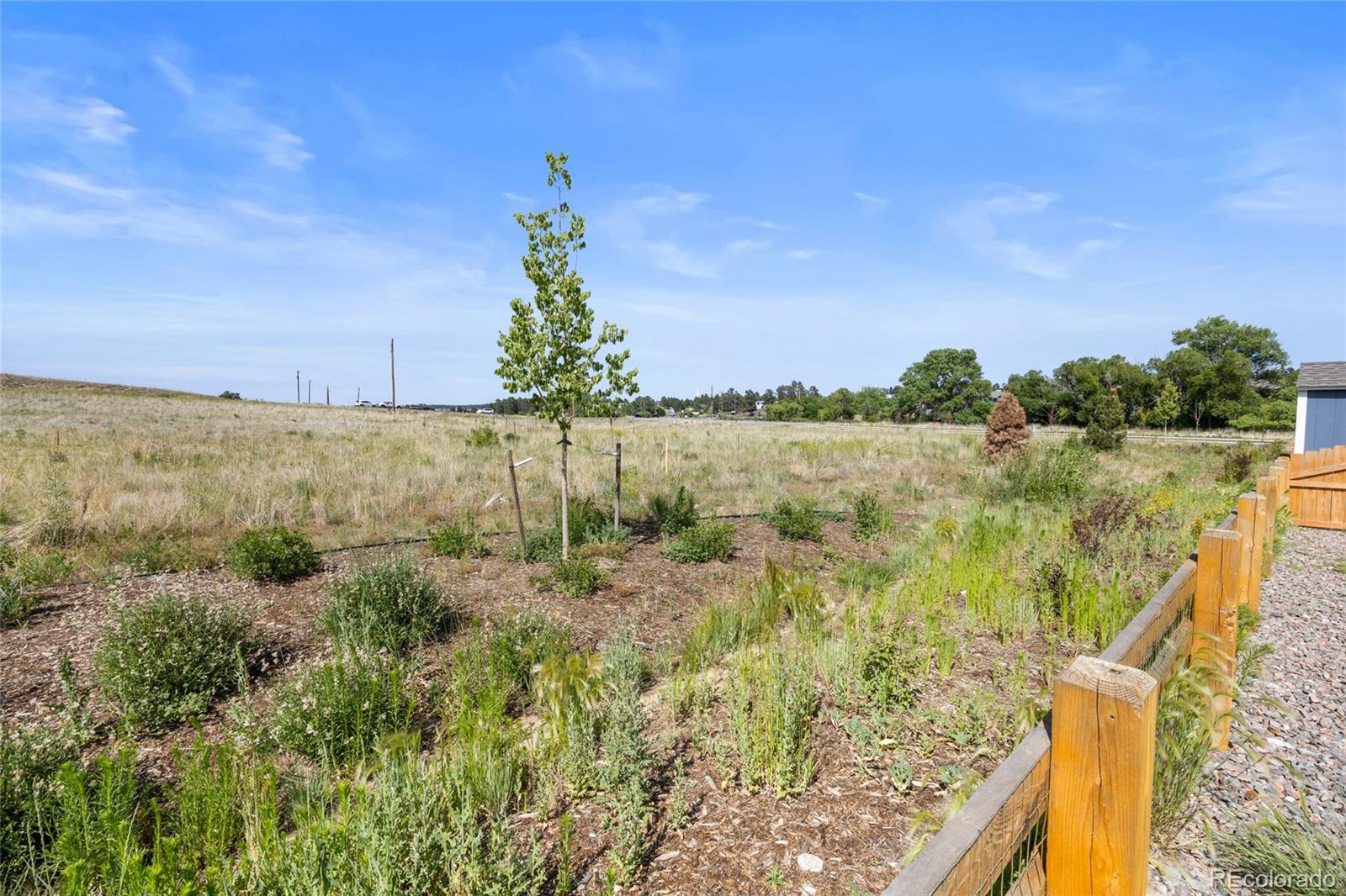 223 Corkscrew Street Elizabeth, CO 80107 - Photo 28 of 33