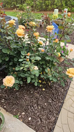 $289,000 | 702 Village Lake Drive, Mebane, NC 27302