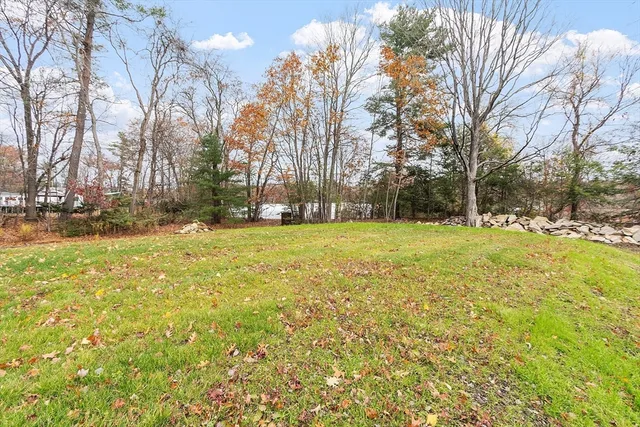 a view of a yard with large trees