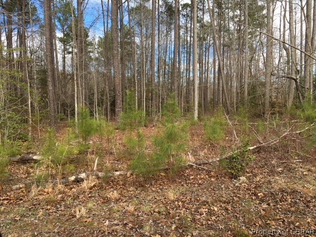 Lot Coopers Coopers Landing Road Heathsville, VA 22473 - Photo 3 of 4