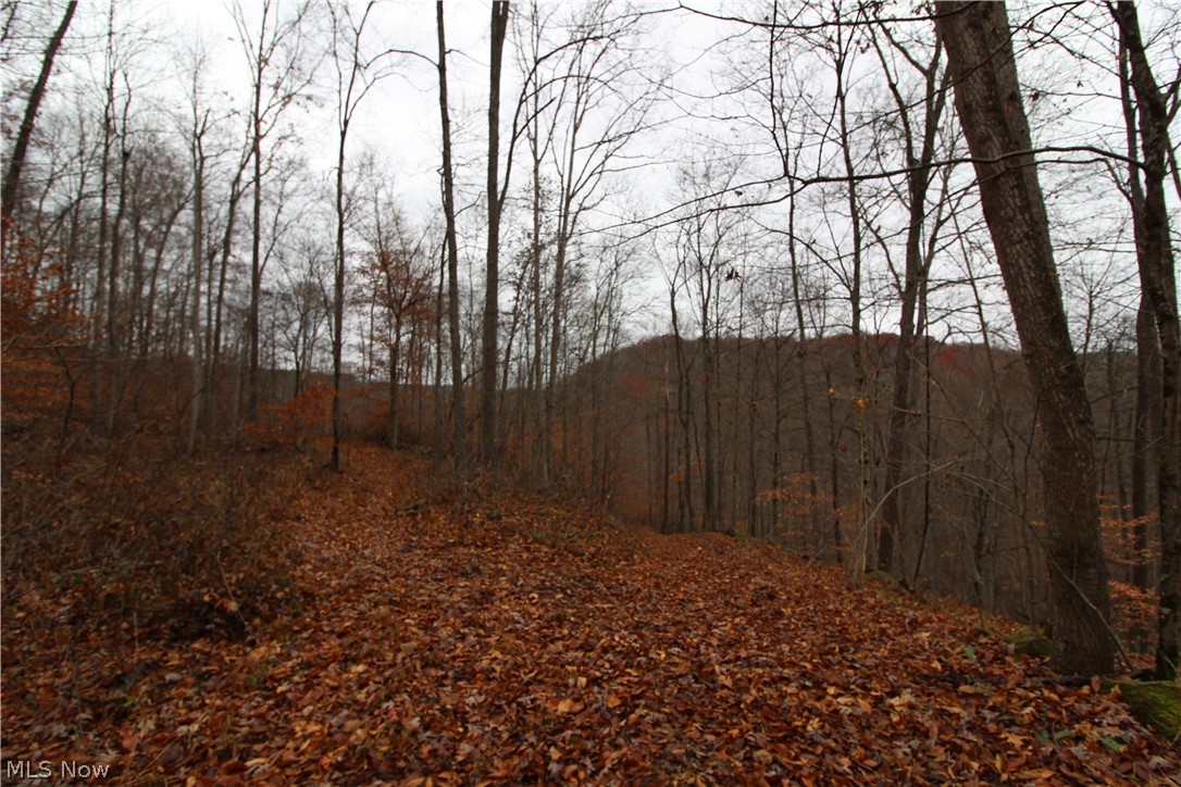 Wilson Run Road New Matamoras, OH 45767 - Photo 13 of 34 Gallery Image 13