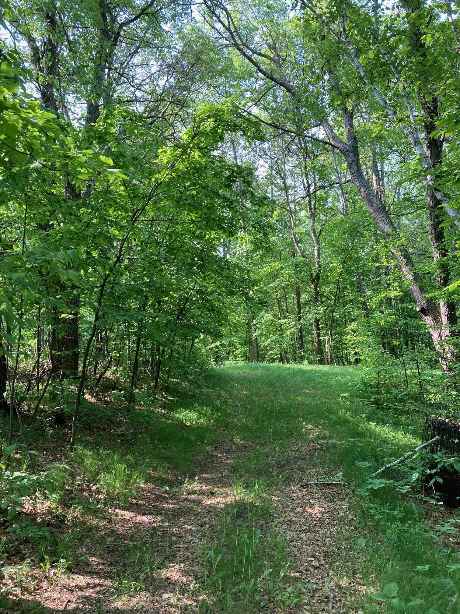 Lot 5 Fawn Lake Road Pequot Lakes, MN 56472 - Photo 6 of 10 Gallery Image 6