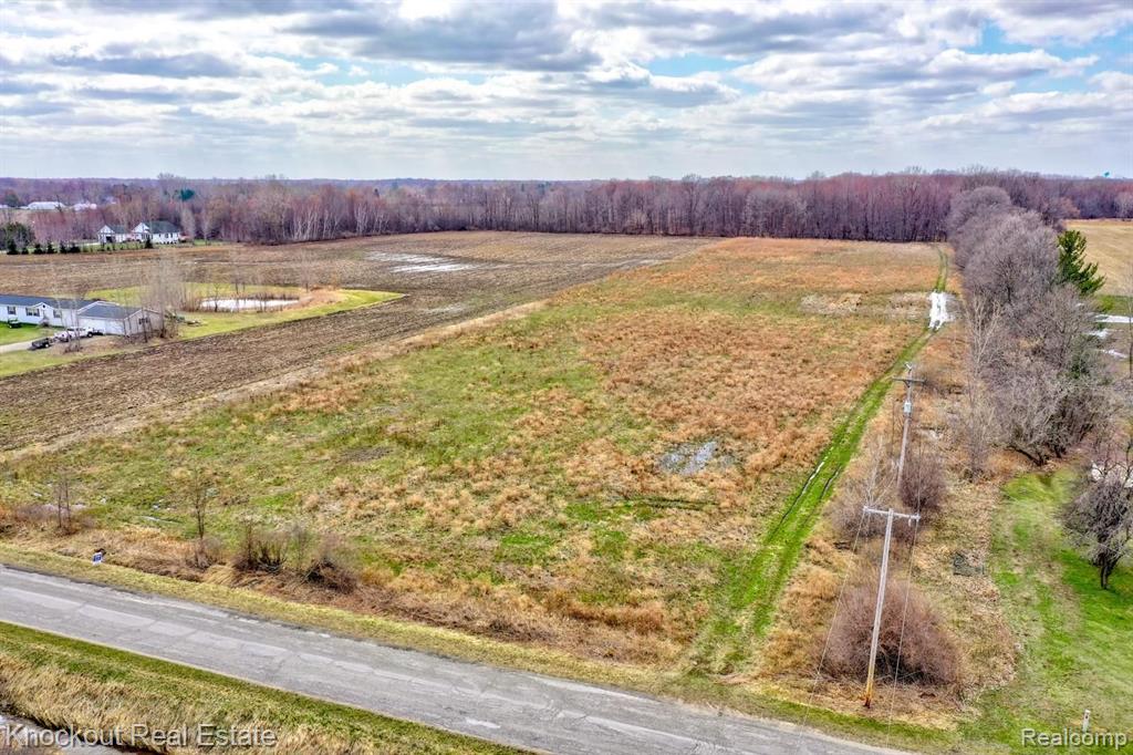 12000 Block Road Birch Run, MI 48415 - Photo 5 of 19