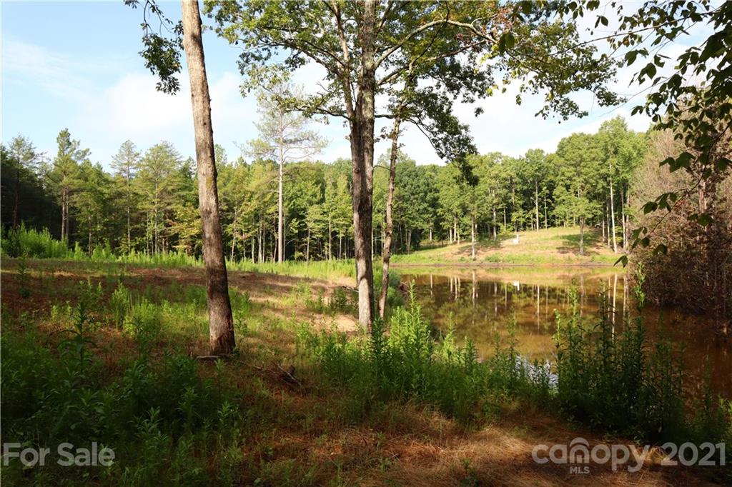 0 J S Dirt Road Clover, SC 29710 - Photo 12 of 13 a view of lake with green space