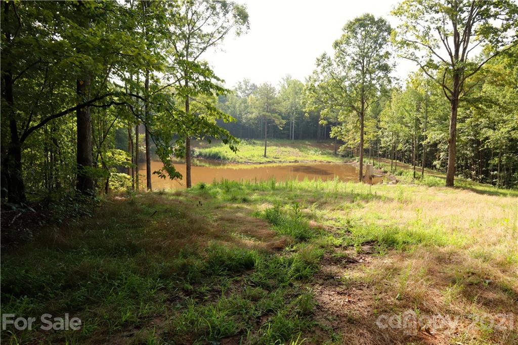 0 J S Dirt Road Clover, SC 29710 - Photo 8 of 13 a view of backyard with tree