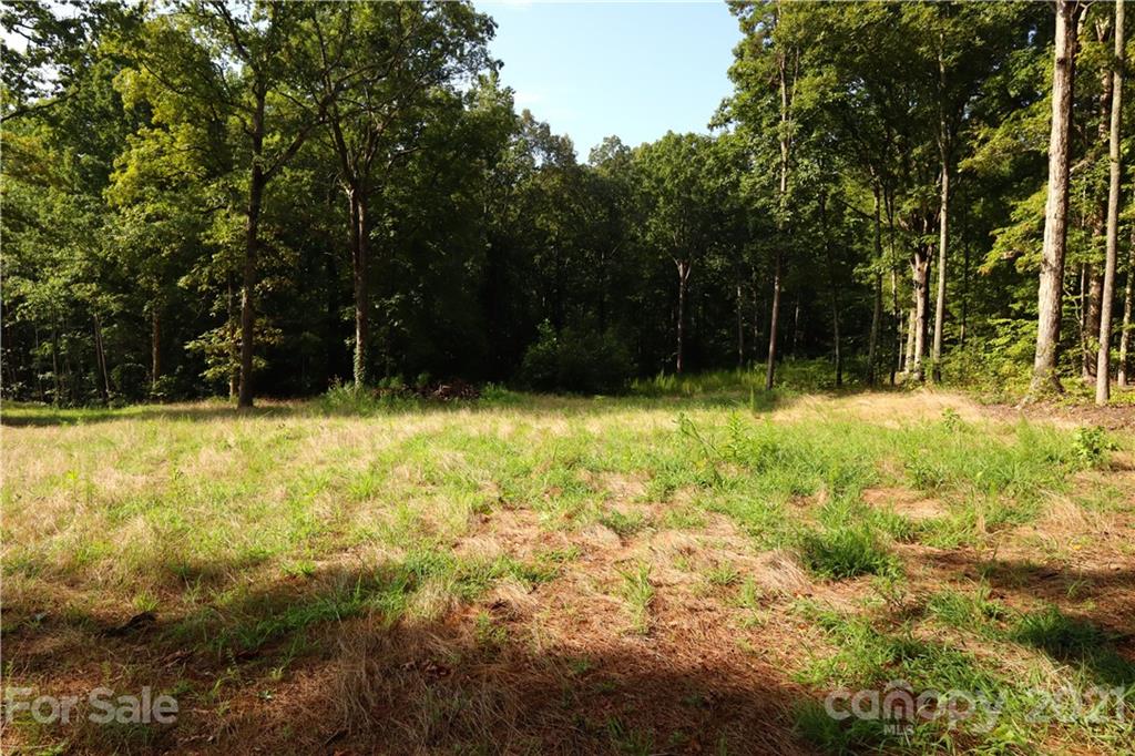 0 J S Dirt Road Clover, SC 29710 - Photo 9 of 13 a view of outdoor space with swimming pool and trees