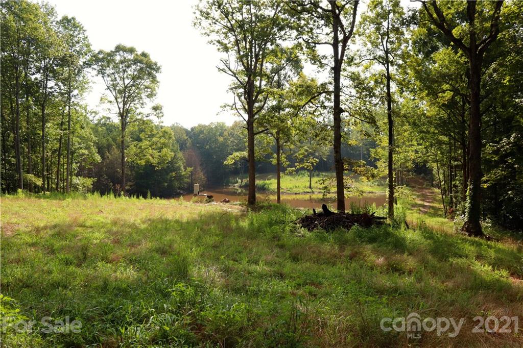 0 J S Dirt Road Clover, SC 29710 - Photo 10 of 13 a view of outdoor space and yard