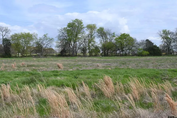a view of a field with trees in background