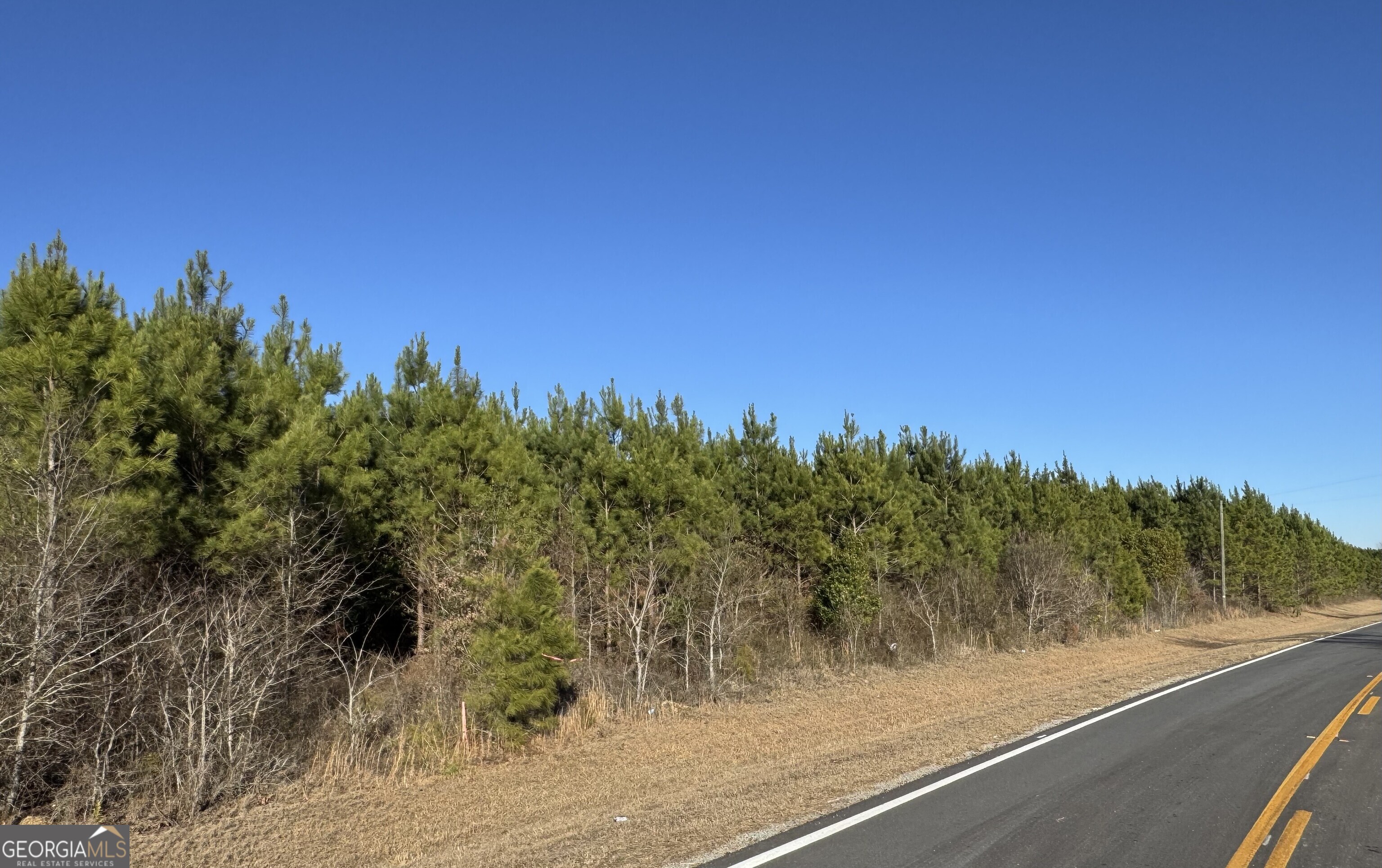 Lot 6 Whitfield Road Elko, GA 31025 - Photo 2 of 5