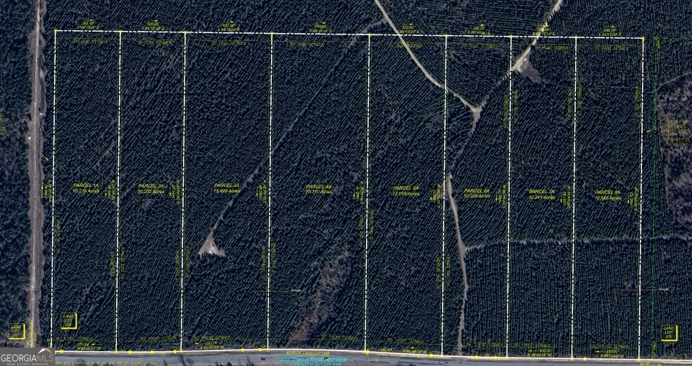 Lot 6 Whitfield Road Elko, GA 31025 - Photo 5 of 5