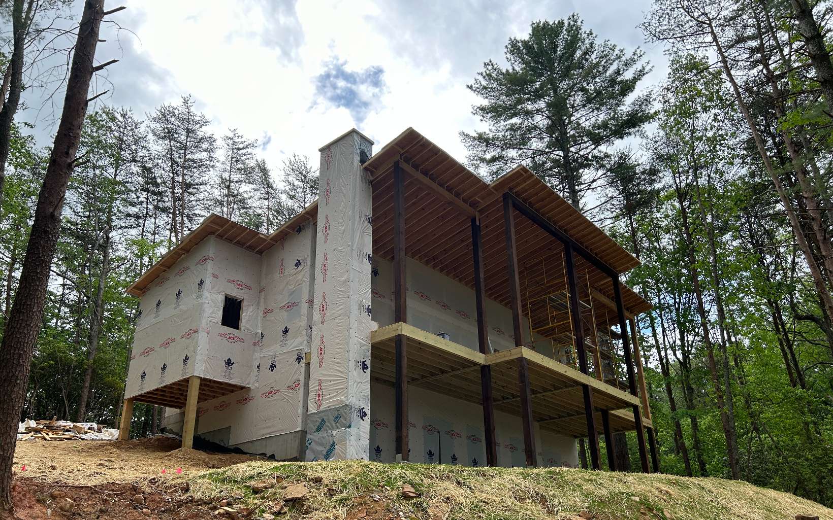 Main View