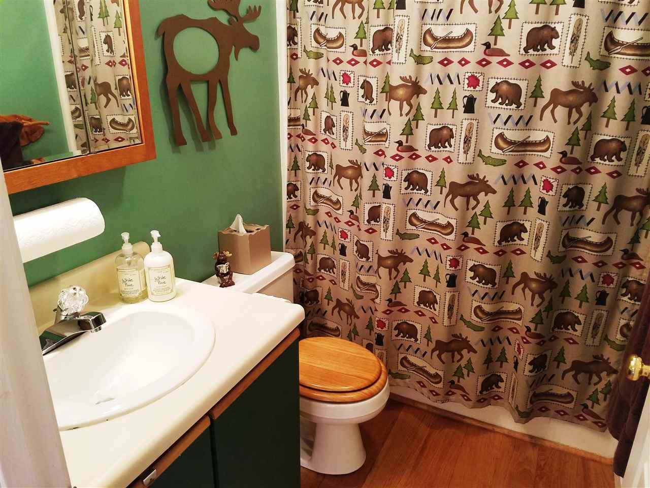 15 Bear Chase Road, Unit 3 Thornton, NH 03285 - Photo 19 of 32 Gallery Image 19