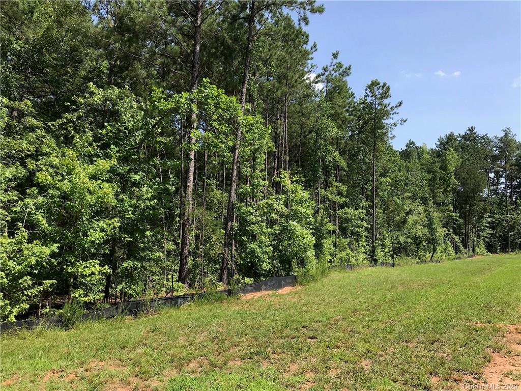 0 Two Sisters Road, Unit 4 Lancaster, SC 29720 - Photo 3 of 7