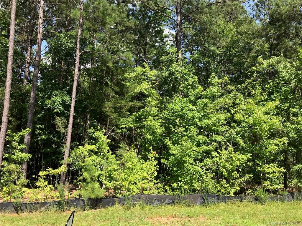 0 Two Sisters Road, Unit 4 Lancaster, SC 29720 - Photo 4 of 7