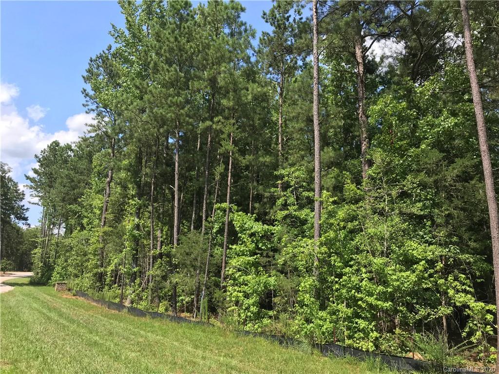 0 Two Sisters Road, Unit 4 Lancaster, SC 29720 - Photo 6 of 7