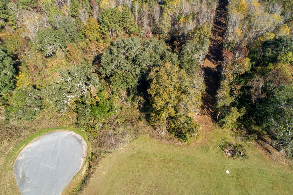 0 Turkey Ridge Lane Quitman, GA 31643 - Photo 2 of 4 Gallery Image 2