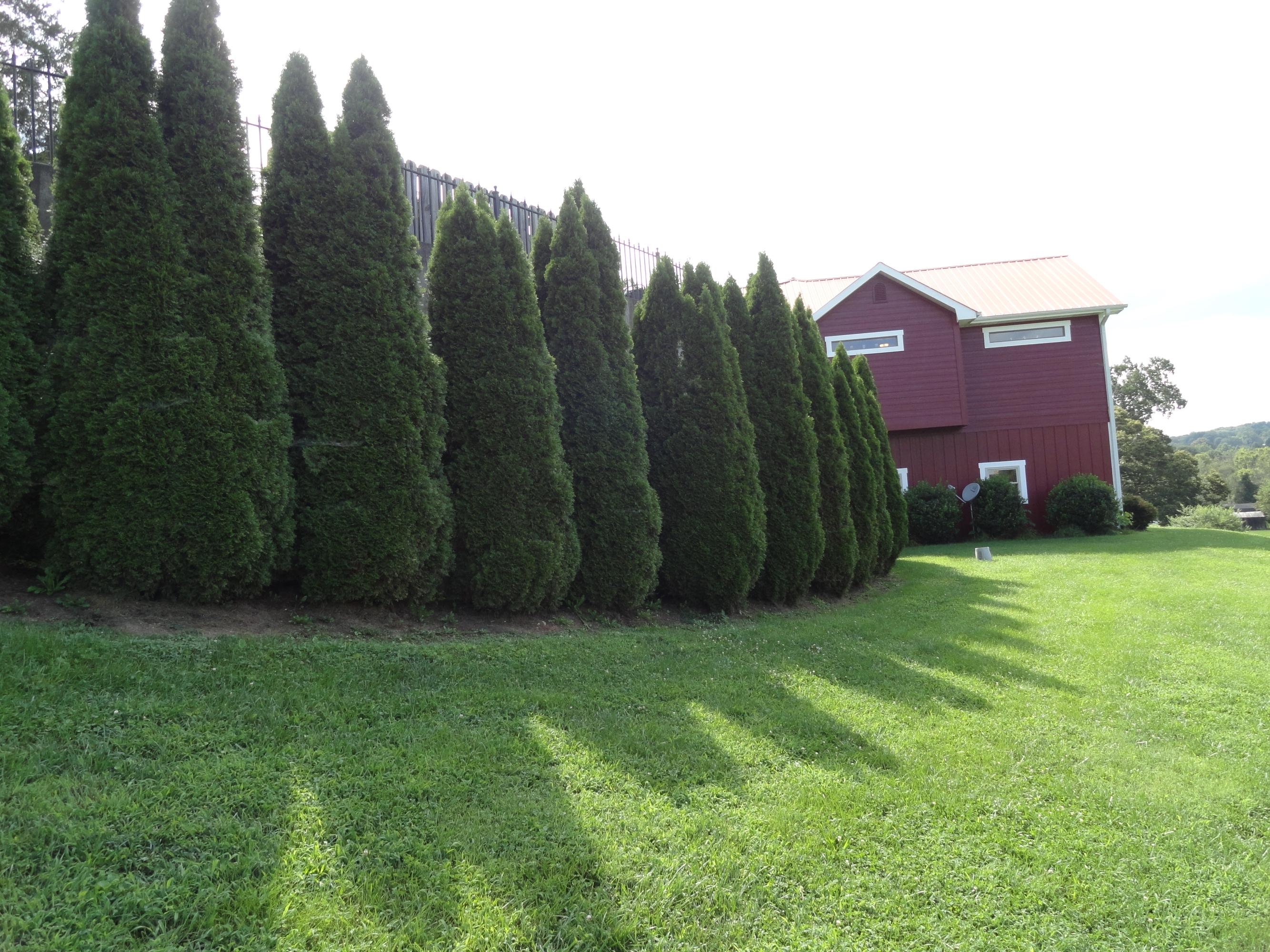 436 Hidden Valley Road Clinton, TN 37716 - Photo 40 of 40 Backyard