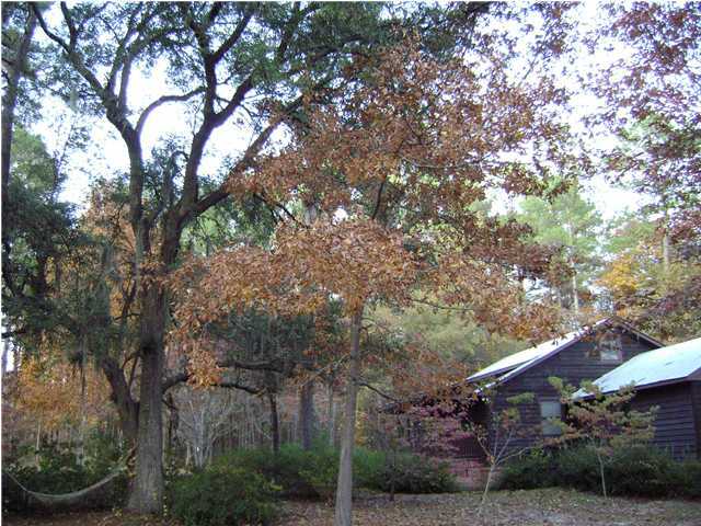 4888 Peirce Road Ridgeville, SC 29472 - Photo 3 of 4 Additional Photo