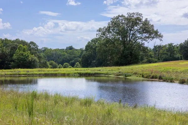 $555,000 | 12151 State Highway 75 North, Buffalo, TX 75831