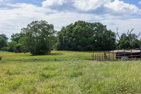 12151 State Highway 75 North Buffalo, TX 75831 - Photo 38 of 50 Rolling pastures, great for agriculture
