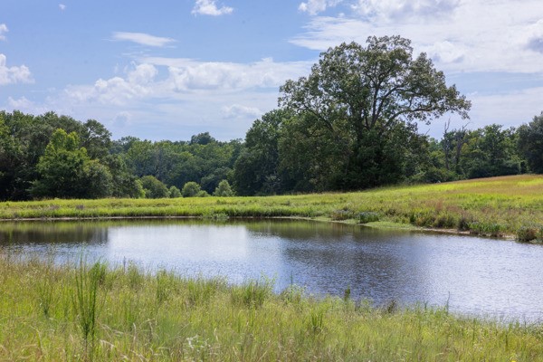 12151 State Highway 75 North Buffalo, TX 75831 - Photo 39 of 50 Enjoy the convenience of a fishing pond close to the homes, perfect for fresh catches and barbecues.