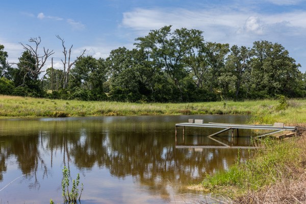 12151 State Highway 75 North Buffalo, TX 75831 - Photo 40 of 50 a view of a lake